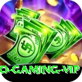 Pakistan Casino Gaming VIP